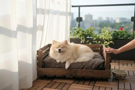 Rustic Wooden Dog Bed with Removable Cushion, Elevated Pet Bed for Small to Medium Dogs, Indoor Dog Crate Bed for Living Room Bedroom, Natural Brown Finish